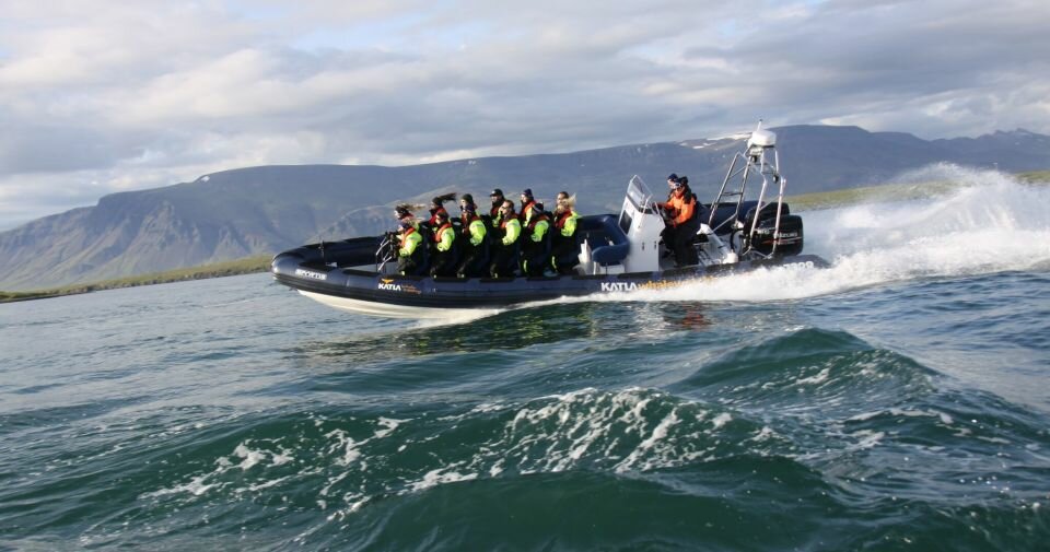 reykjavik whale watching